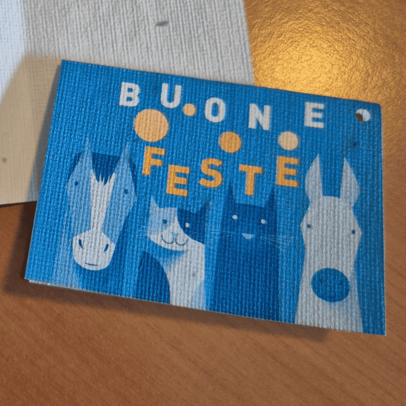 Bigliettini chiudipacco in carta piantabile (4 pezzi) - immagine 6