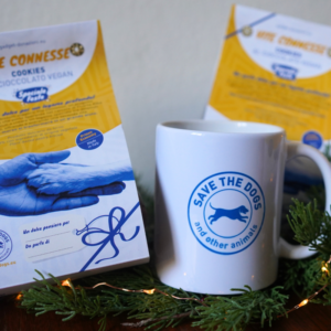 Tazza & Cookies al Cioccolato Vegan